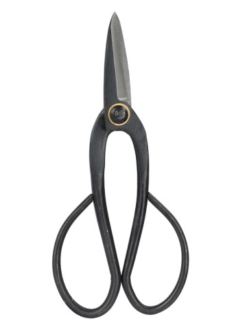 Ciseaux floraux 8" TG1301012