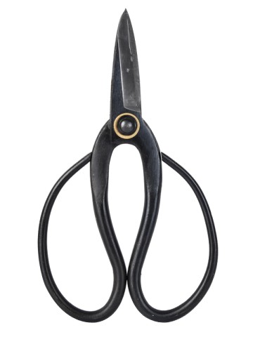 Ciseaux floraux 7" TG1301011