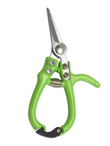 6" Mini Floral Snips TG1301102-A