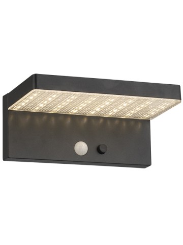 Solar Wall Light TL0201521