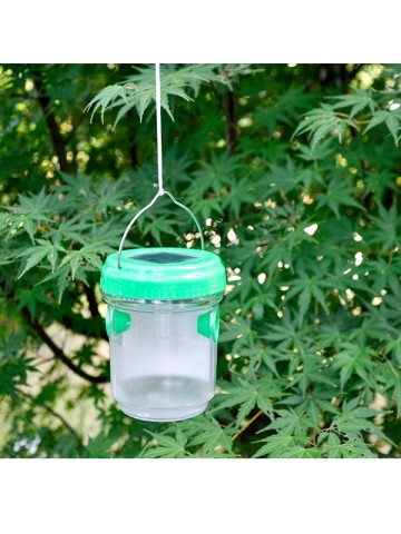 Insect Trap TG8001061