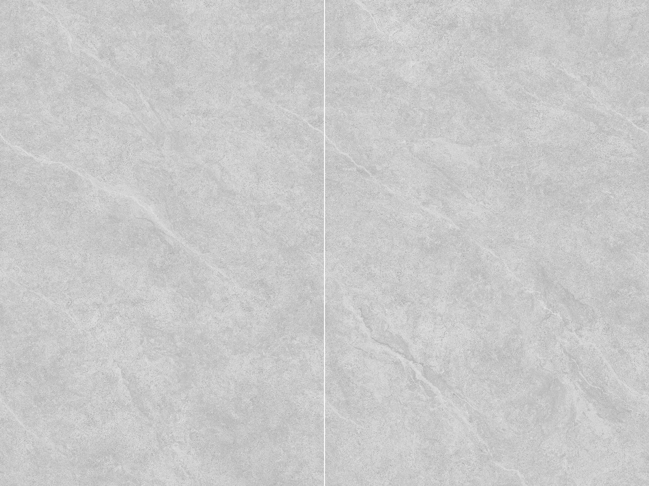 Dalle de porcelaine VENUS GRIS CLAIR (2)