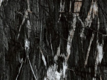 RAINFOREST BLACK High Gloss Sintered Stone Slab