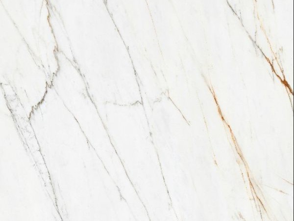 Norwegian Gold Silk White