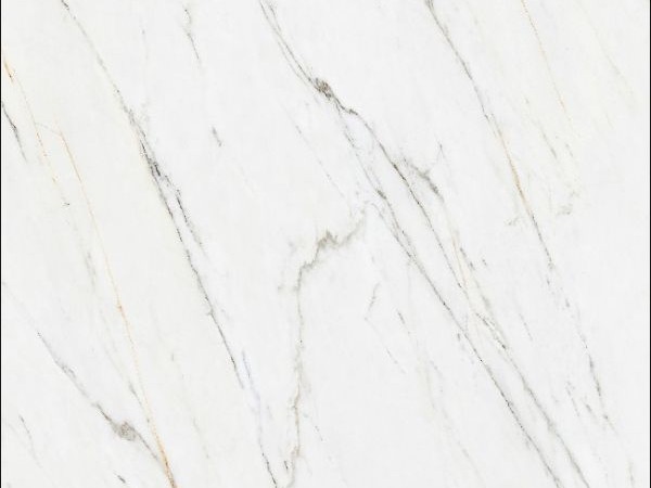 Norwegian Gold Silk White-2.jpg