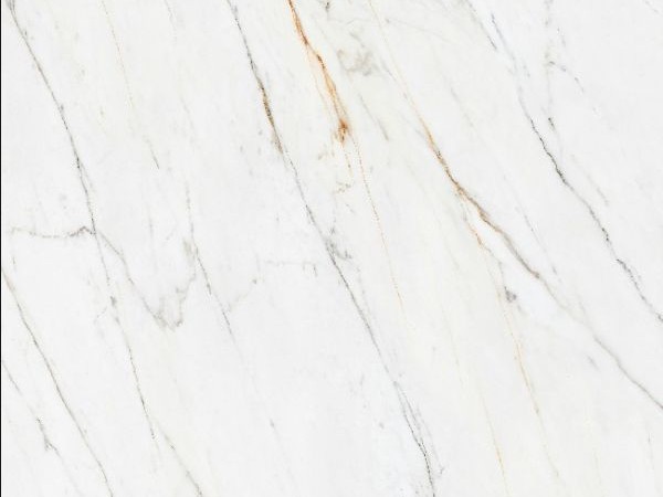 Norwegian Gold Silk White-3.jpg