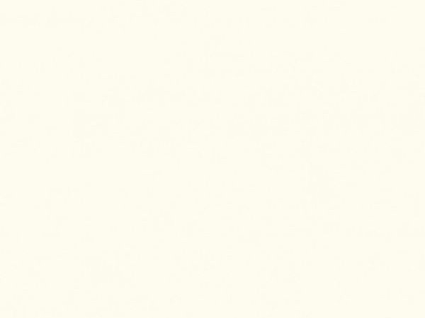 Serene Cloud White Sintered Stone