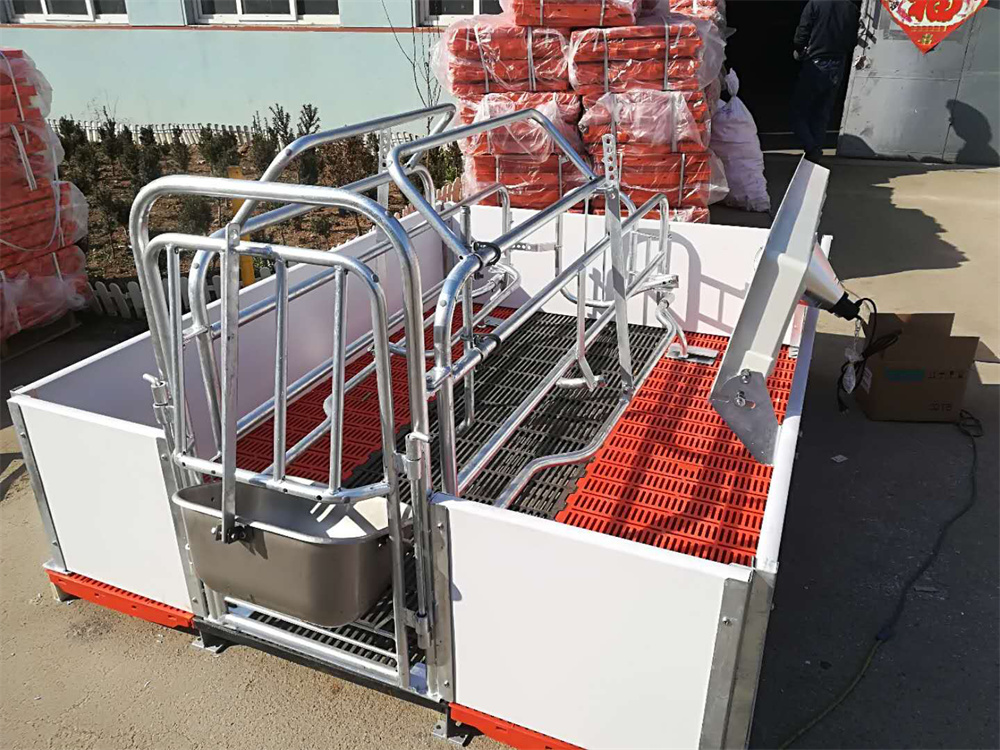 Équipement pour la mise bas des truies porcines : cages de mise bas, enclos pour truies, cages pour animaux (2)