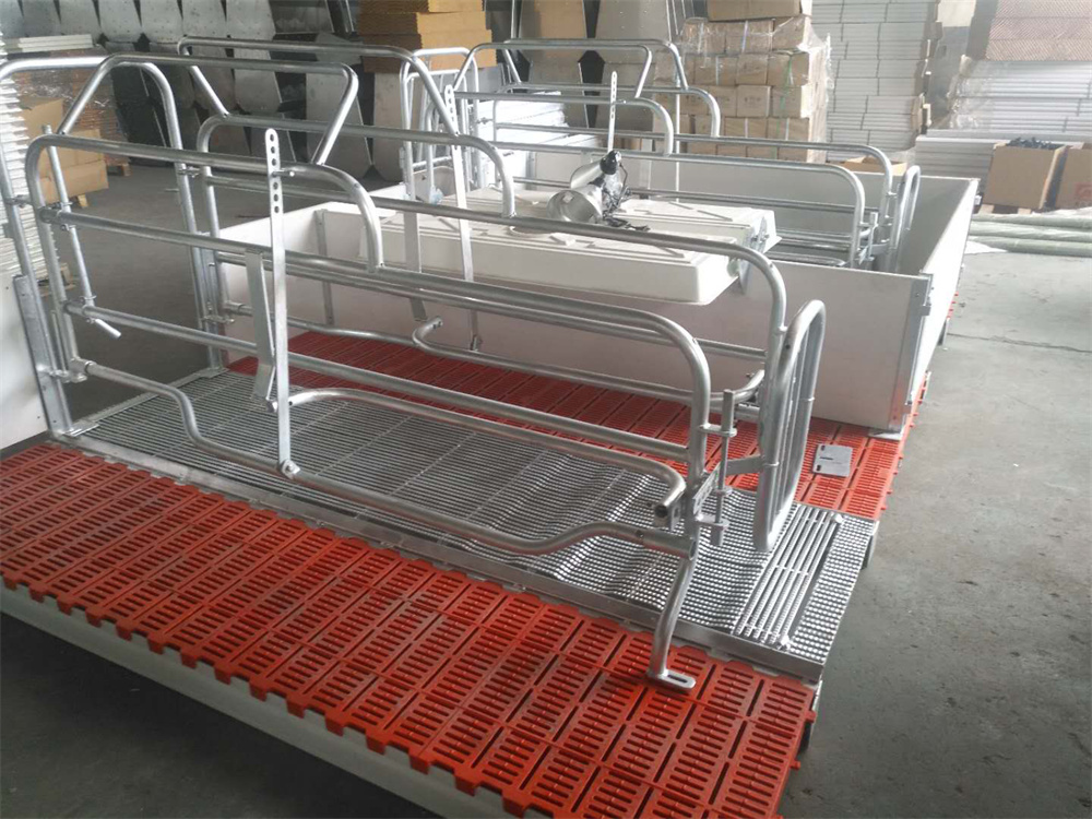 Équipement pour la mise bas des truies porcines : cages de mise bas, enclos pour truies, cages pour animaux (3)