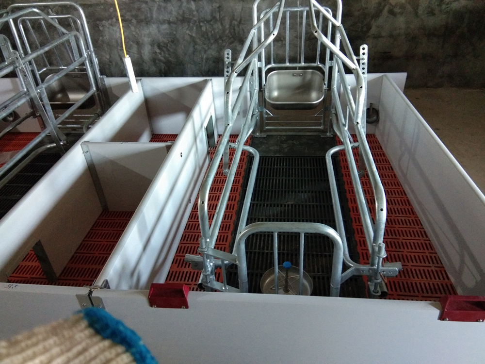 Équipement pour la mise bas des truies porcines : cages de mise bas, enclos pour truies, cages pour animaux (5)
