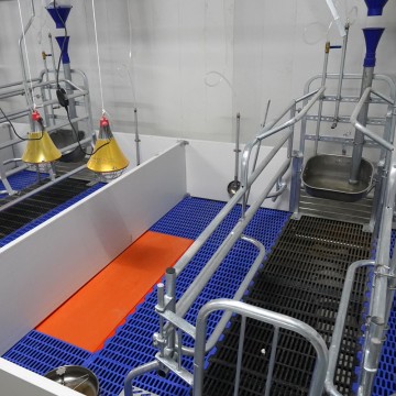 Équipement pour la mise bas des truies porcines : cages de mise bas, enclos pour truies, cages pour animaux