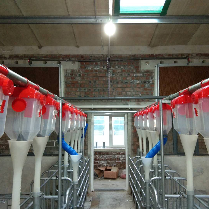 8L-dispenser-(9)