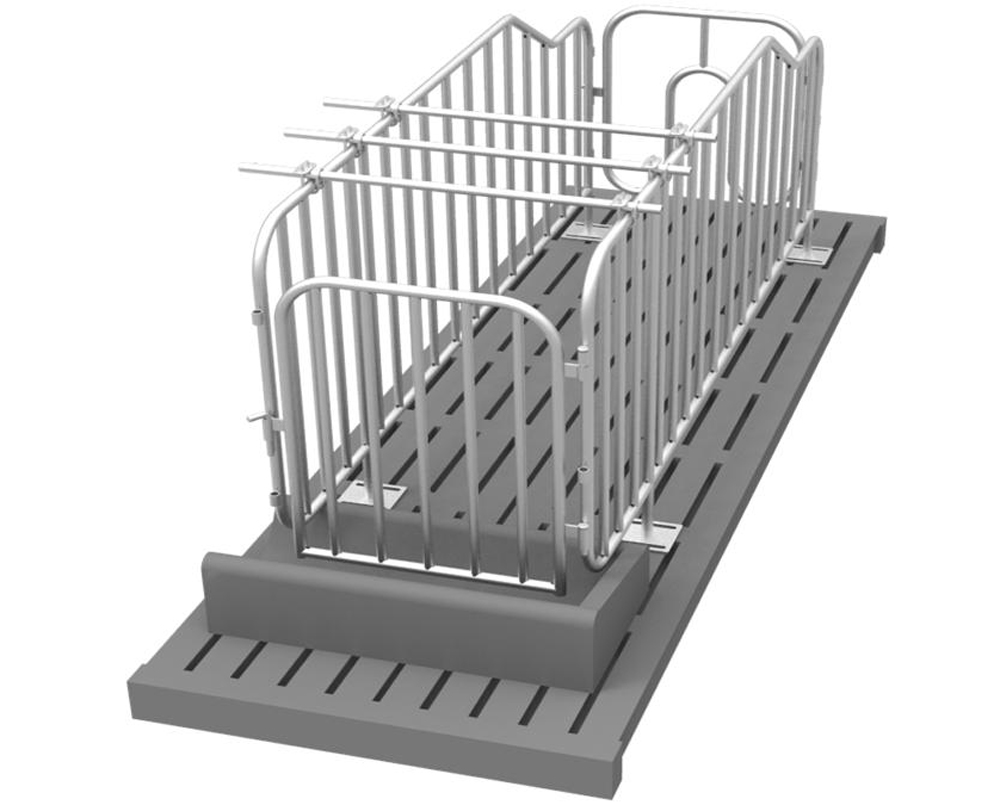 gestation-stall