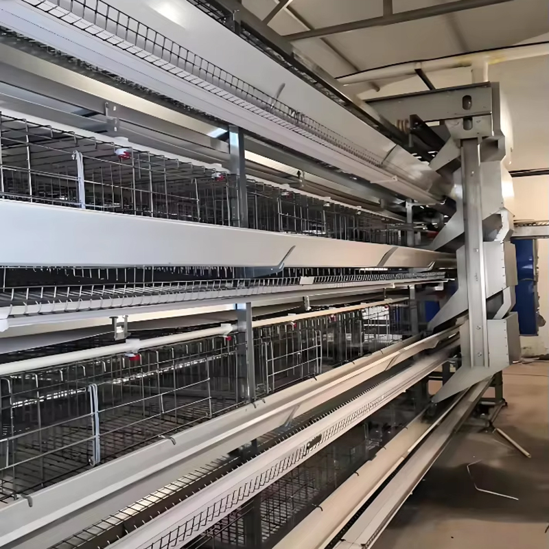 H-Typ-Automatische-Fütterung-Broiler-Käfig-Hühnerkäfig-Broiler-Farm-Ausrüstung3