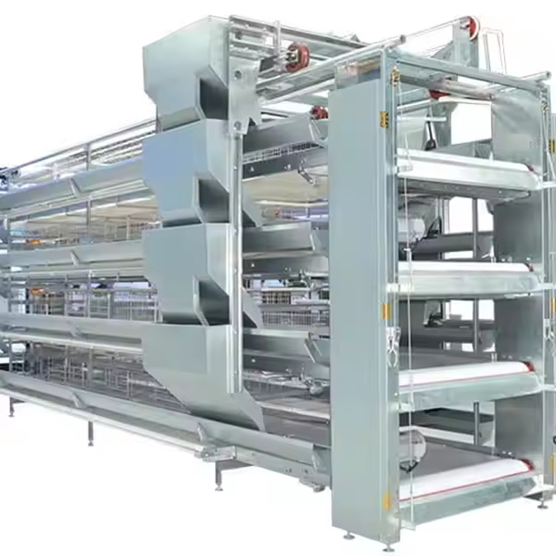 H-Typ-Automatische-Fütterung-Broiler-Käfig-Hühnerkäfig-Broiler-Farm-Ausrüstung4