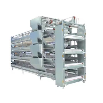 Cage à poulets de chair à alimentation automatique de type H