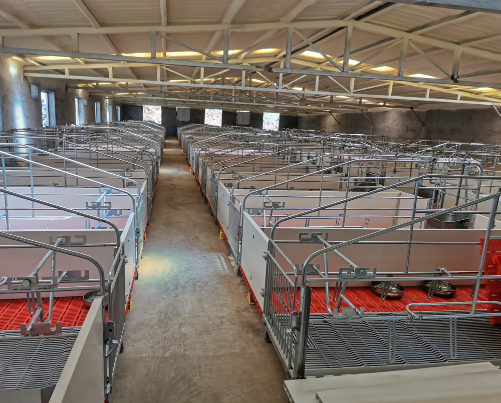 Pig-pen-farrowing-pen1