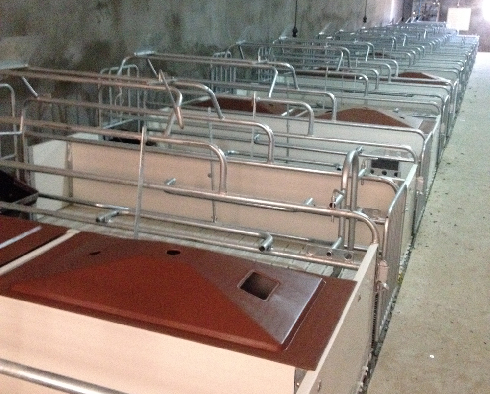 Pig-pen-farrowing-pen2