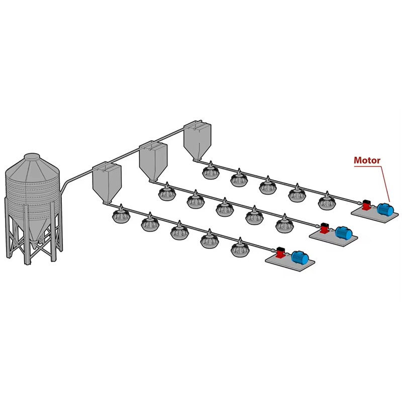Poultry-Farming-Automatic-Chicken-Farming-Bac-5