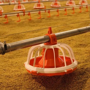 Abreuvoir automatique pour poulets