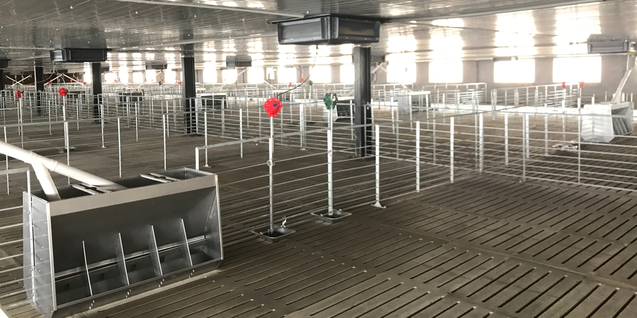 Qingdao-Puhui-Agriculture-and-Animal-Husbandry's-intelligent-pig-farming-equipment-is-fully-upgraded-to-help-the-efficient-development-the-pig-industry.jpg