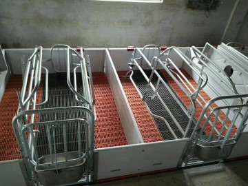 Pig farrowing crates | Design of sow gestation crates and piglet warming areas to comprehensively improve survival rates and breeding efficiency.