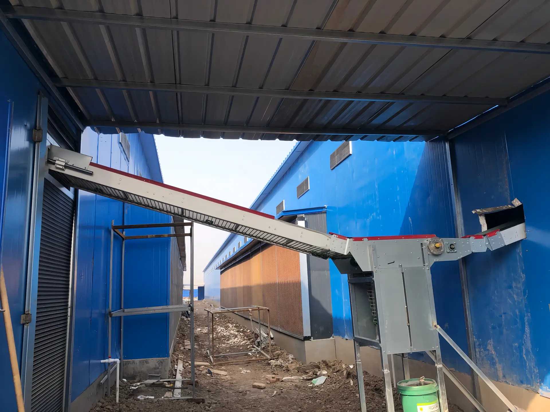Collection centrale d'œufs - Copie.jpg