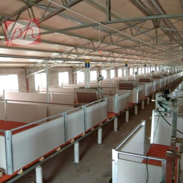 PVC Panel Nursery Crates Customize Size Piglets Stall