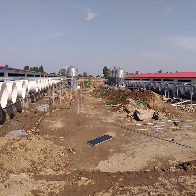 Schweinefarm im Freien.jpg