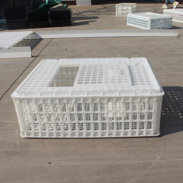 Plastic transport crates for chicken farm