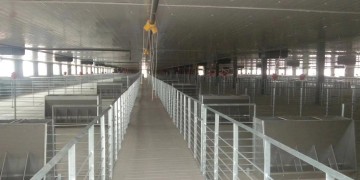 Hot-dip galvanized round steel fattening pens | Qingdao Puhui Agriculture and Animal Husbandry reshapes industry standards with its ultimate craftsmanship