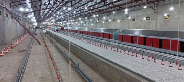 The Broiler Breeder Feed and Water Line System