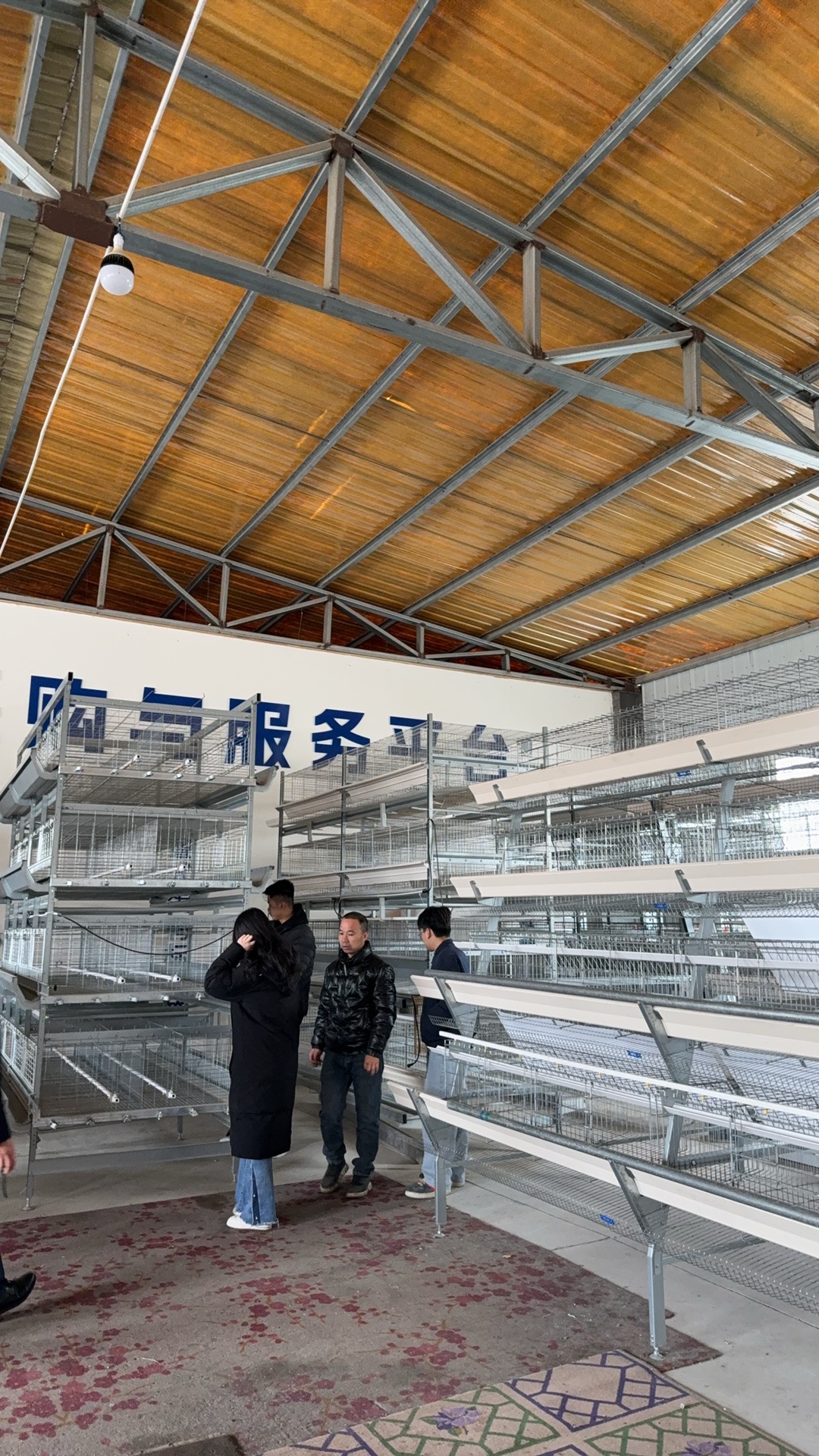 New type A Layer Cage 4 Tiers 5 Layers