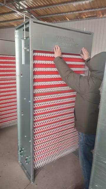 Small Layer Farm 3 Tiers Egg Collection Machine