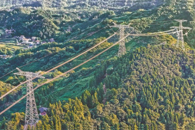 POWER GRID.png