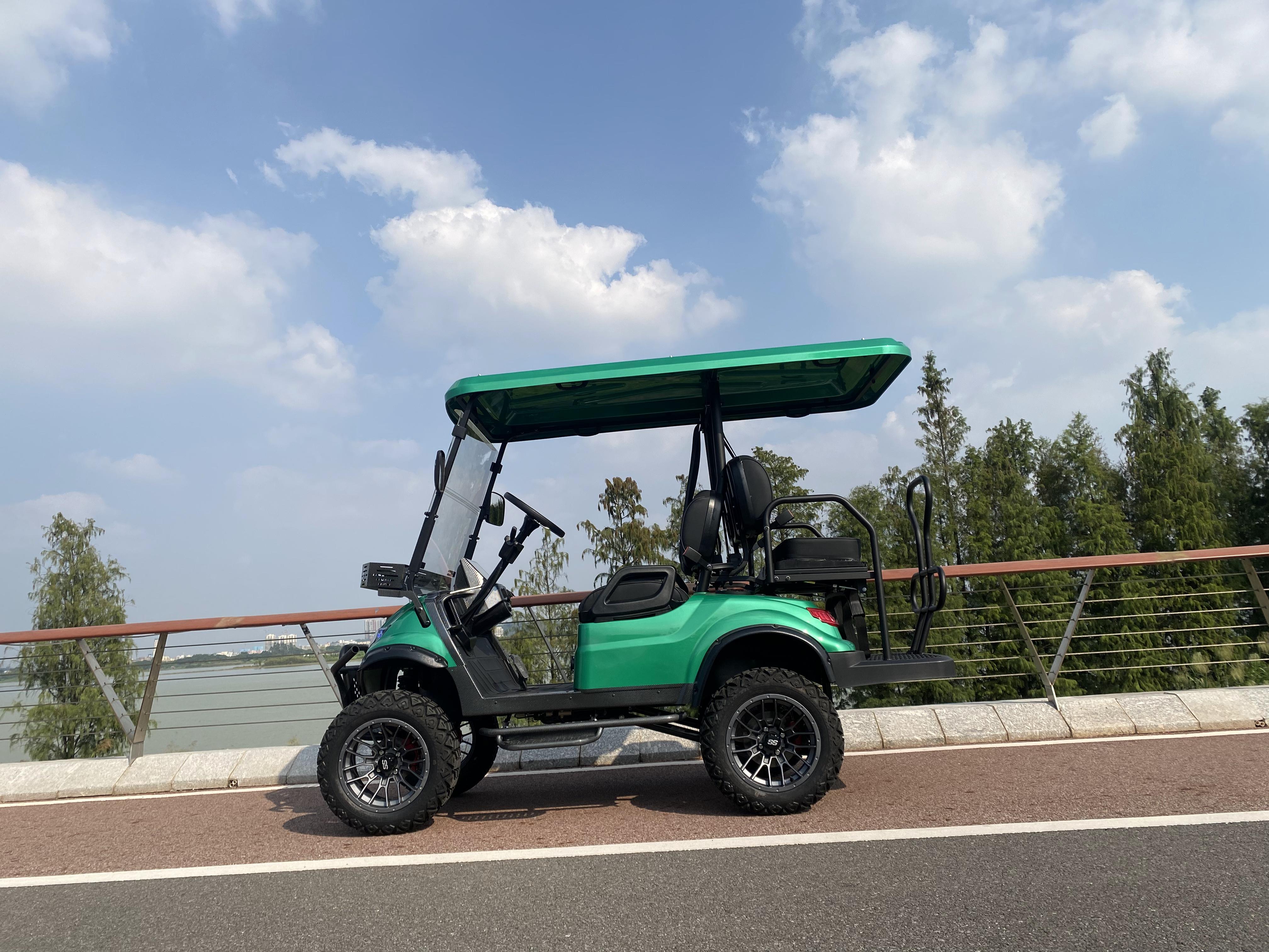 Golf Cart Manufacturer Customized 2+2...