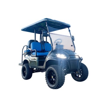 New Design Best Price 4 Seater Lithiu...