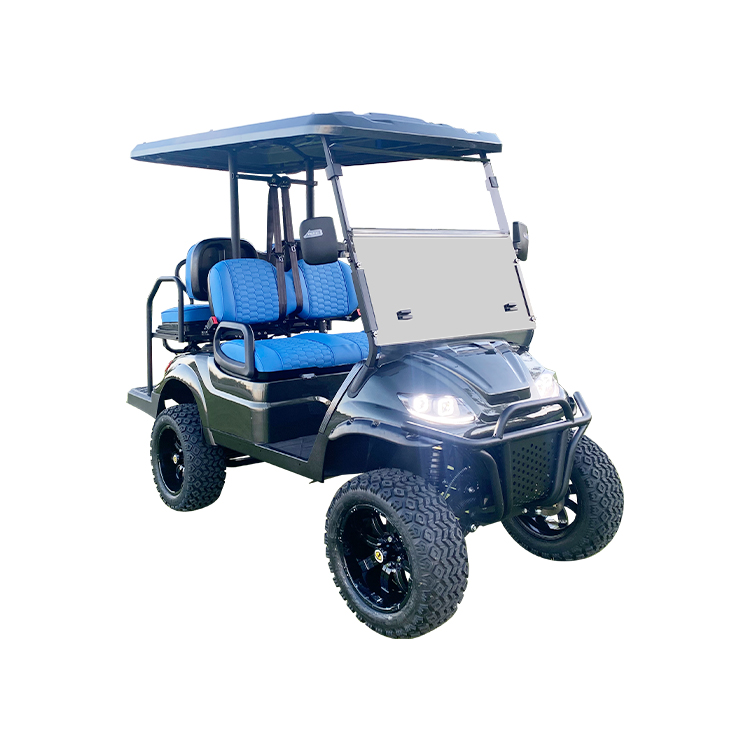 New Design Best Price 4 Seater Lithiu...