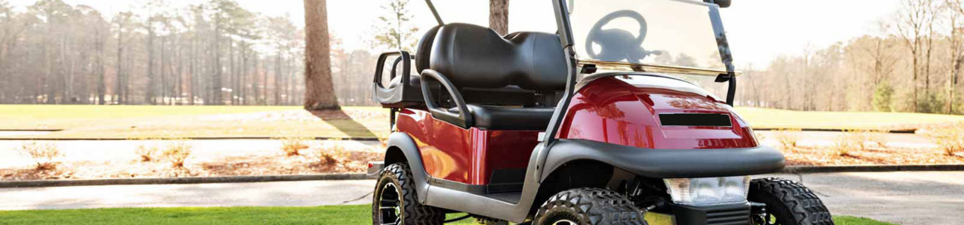 EV Golf Cart