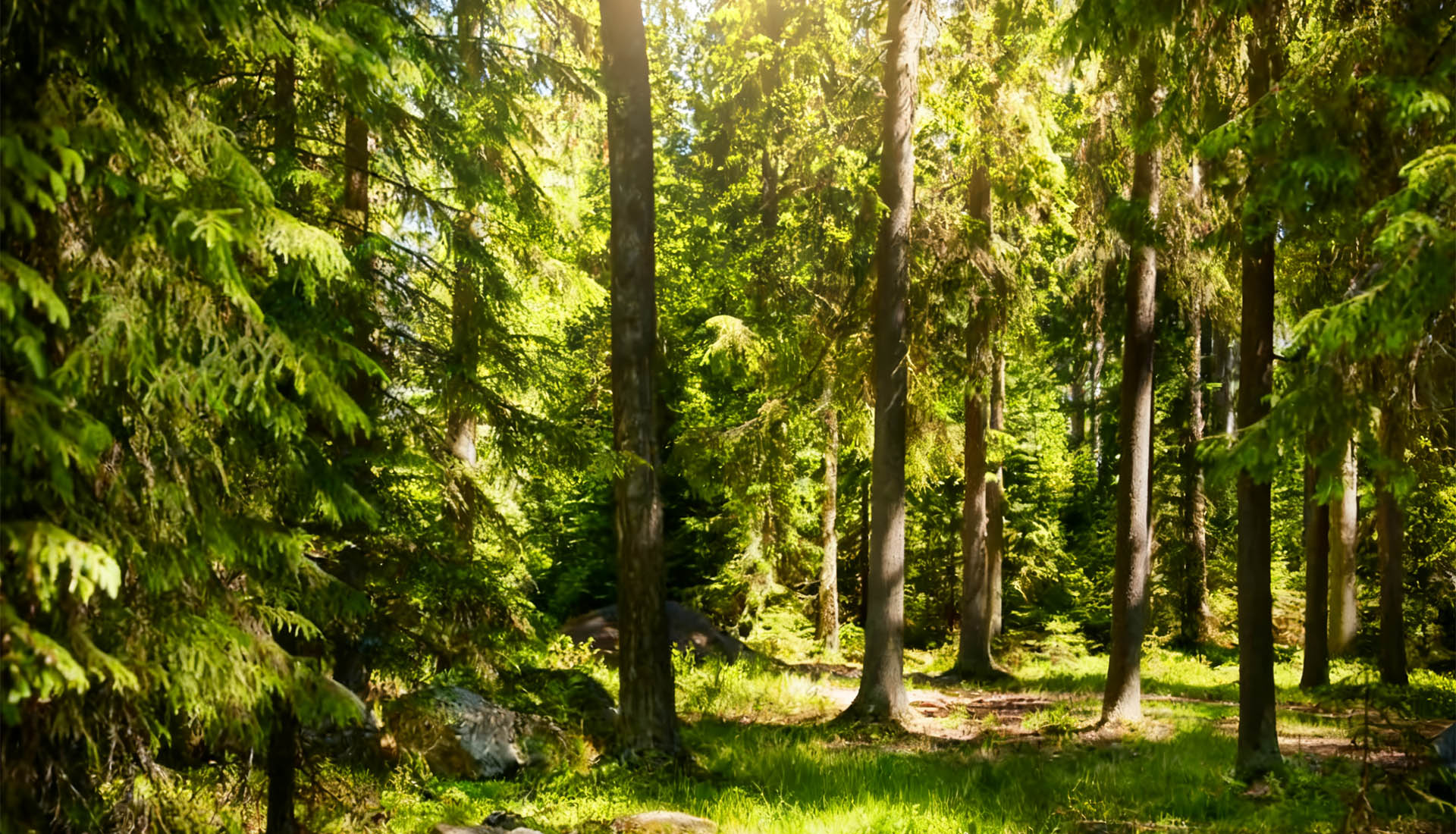 Green innovation, empowering customers
