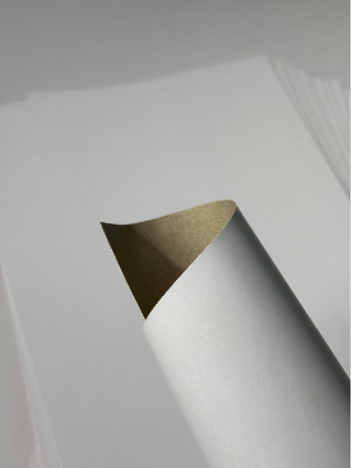 Fuyin Recycled Blister Board