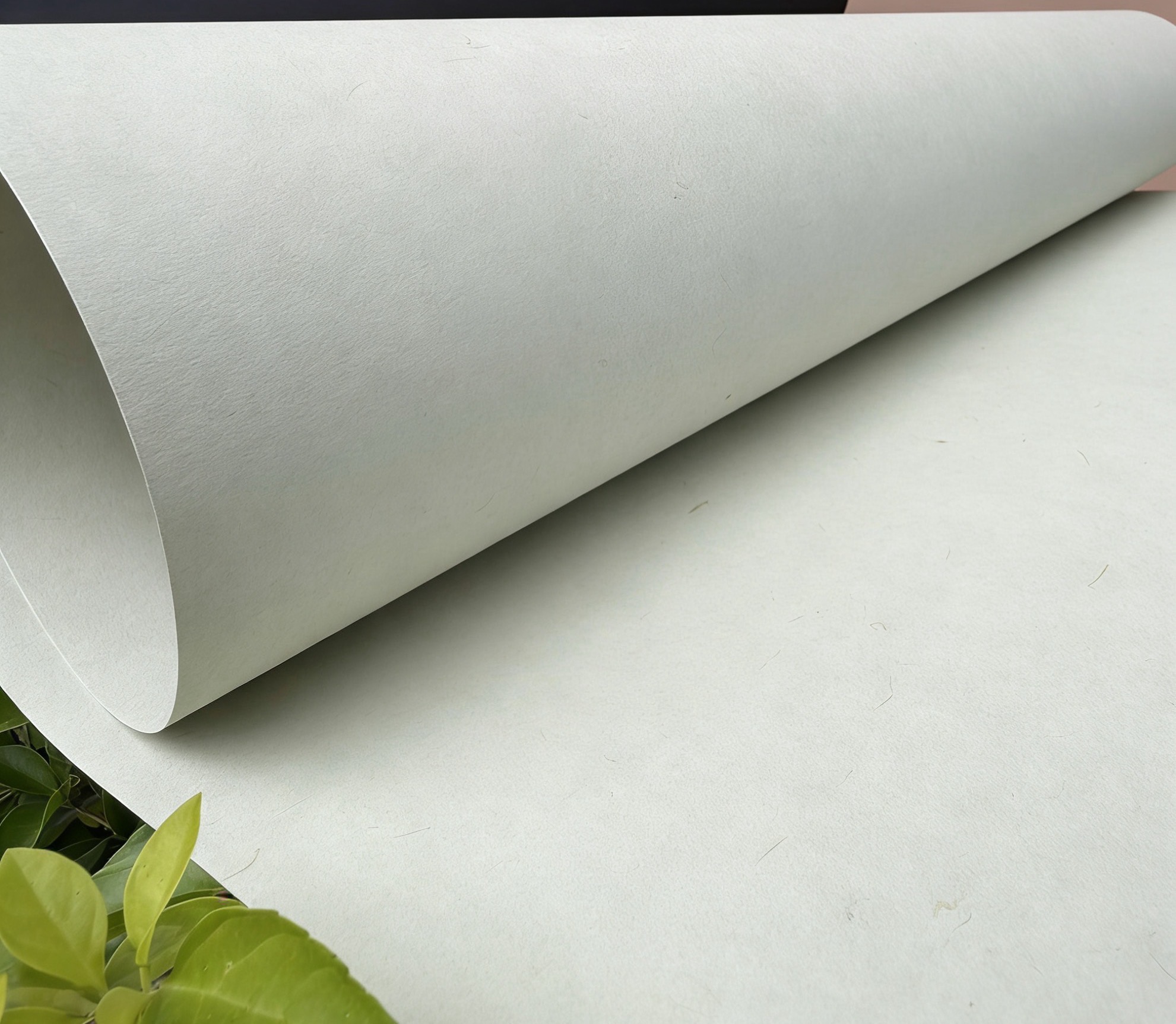 Premium Salon Straw Paper from China ...