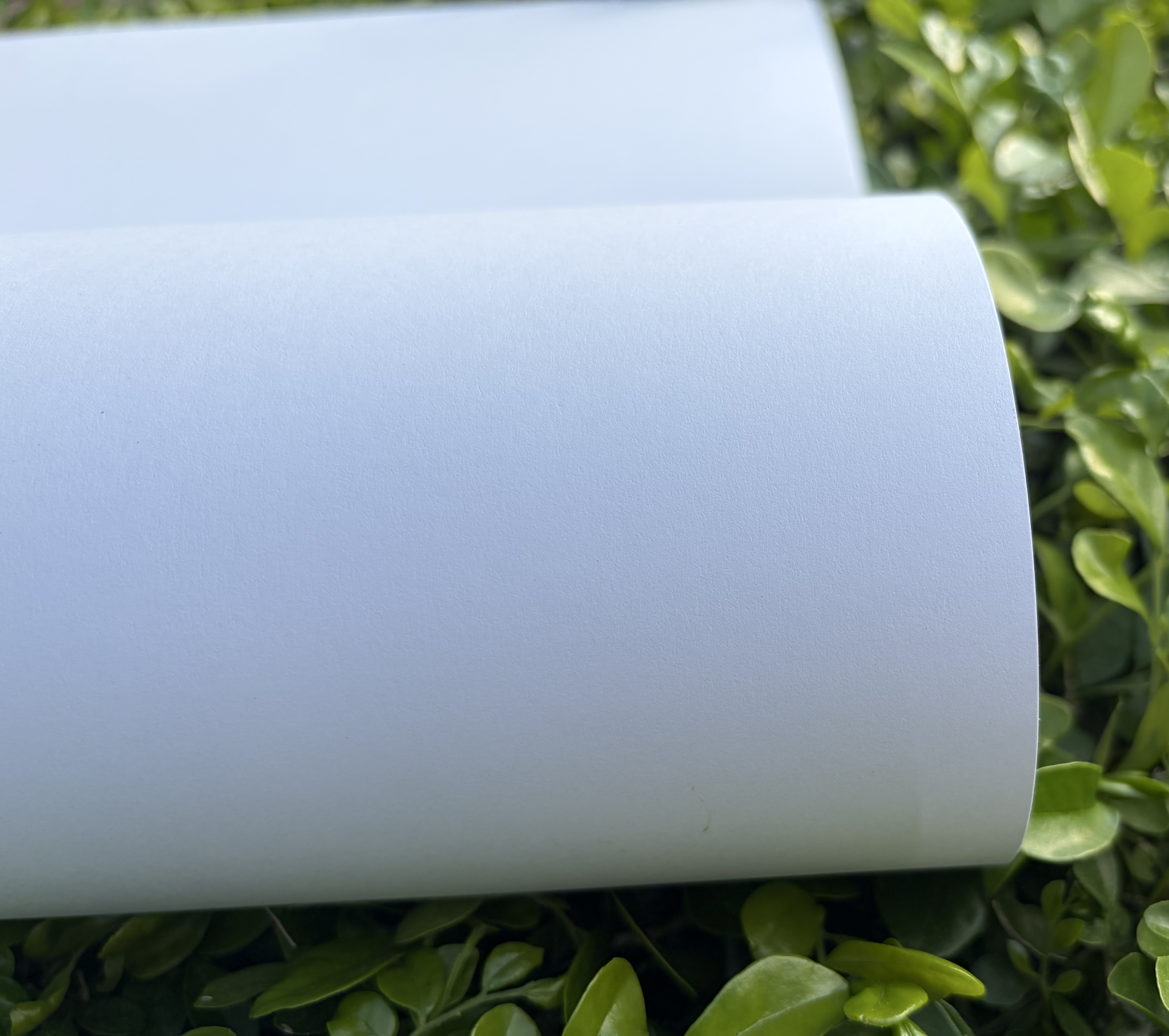 Fuyin Paper Ships Eco-Friendly Custom Papers to Vietnam