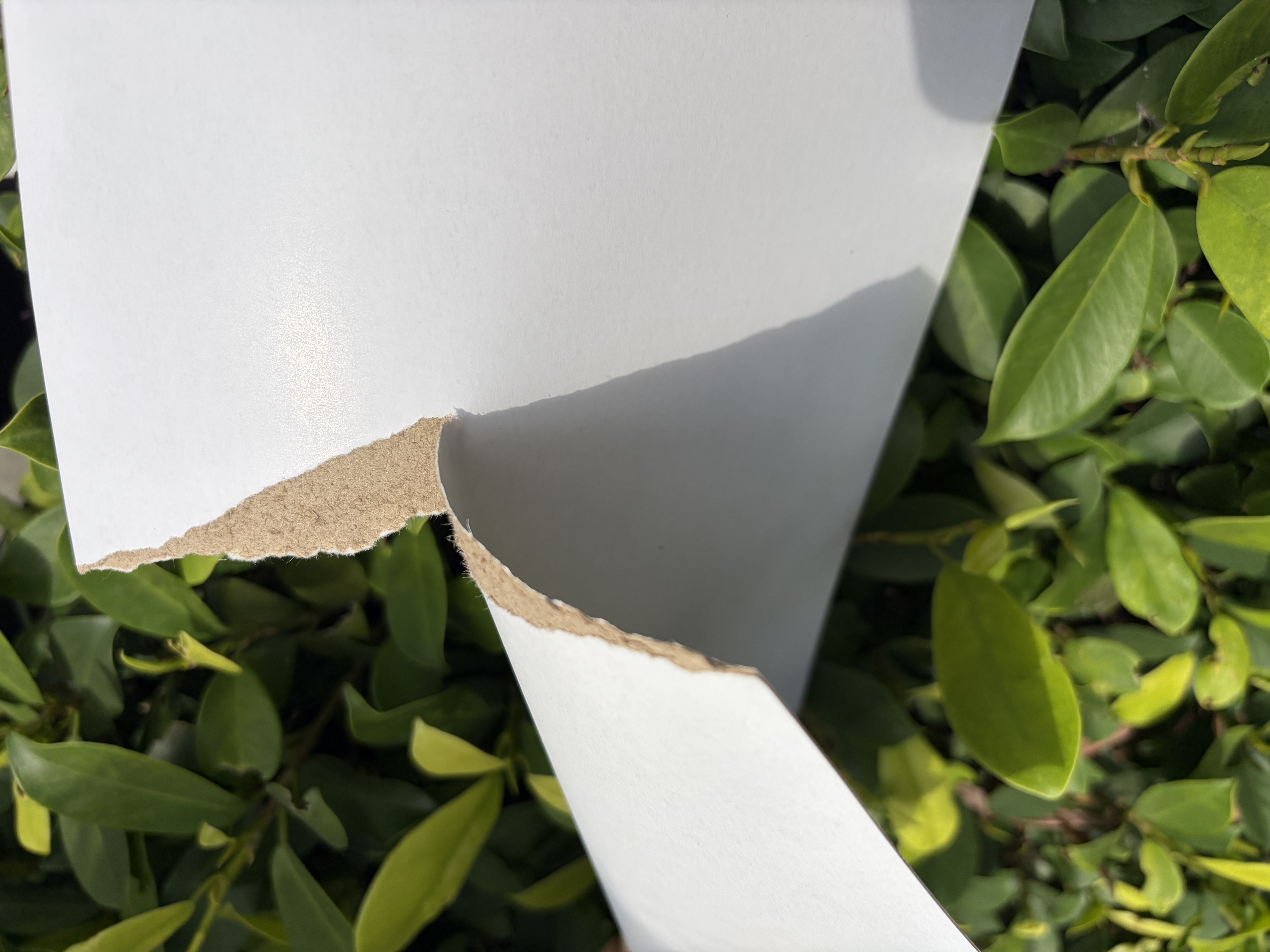Double-Coated Recycled Whiteboard