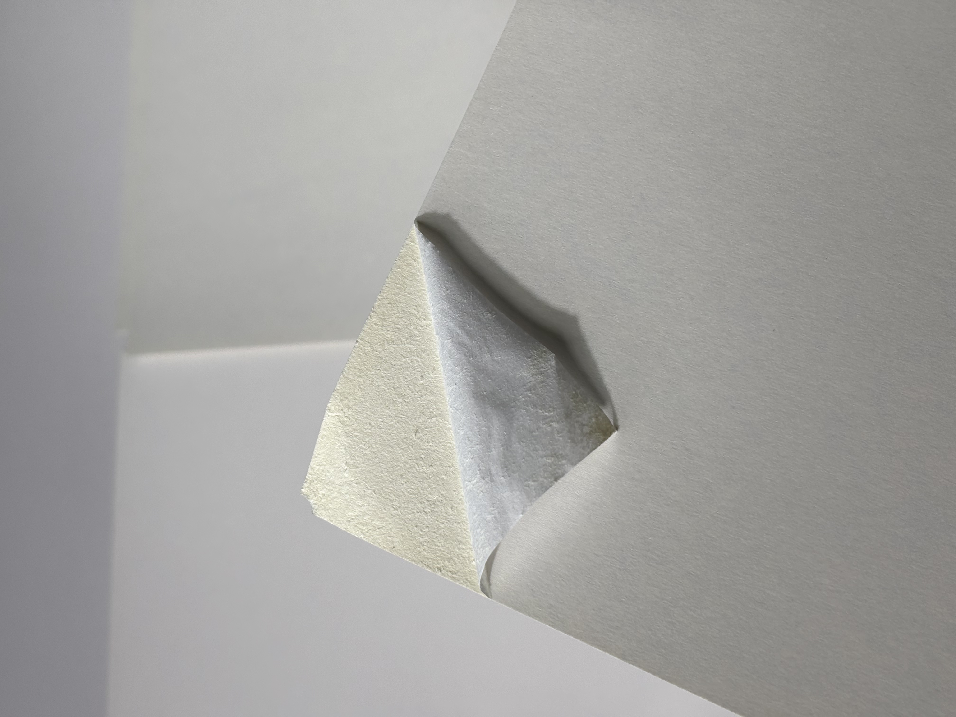 Fuyin Blister Card Paper