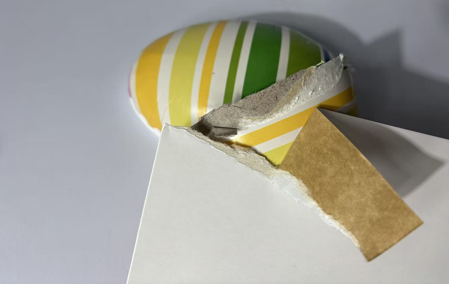Fuyin社、食品グレードのコーティングクラフト板紙で包装ラインを拡充