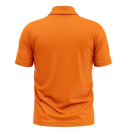 polo (18).png