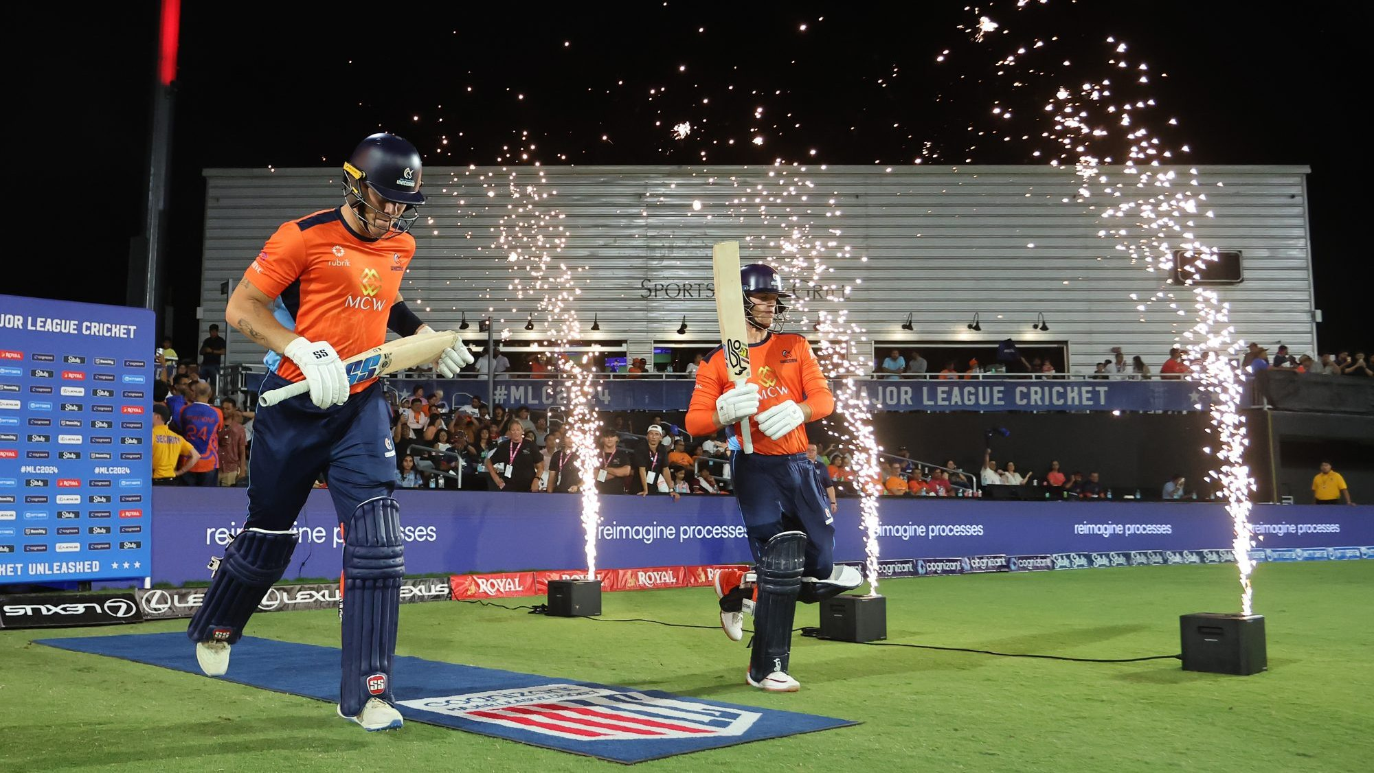 cricket image 02.webp