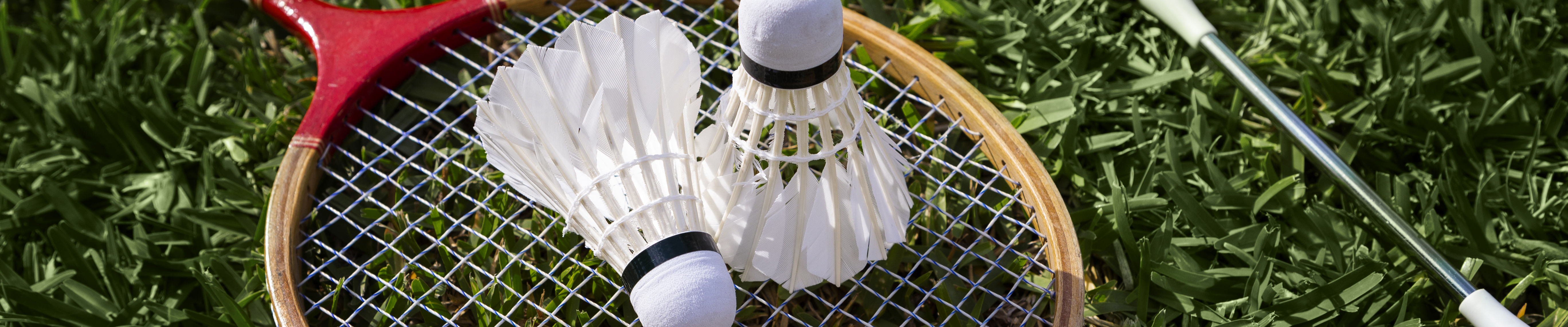 Badminton