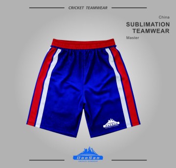 Custom Full Sublimation Mesh Sports Team Shorts - Elite Fit